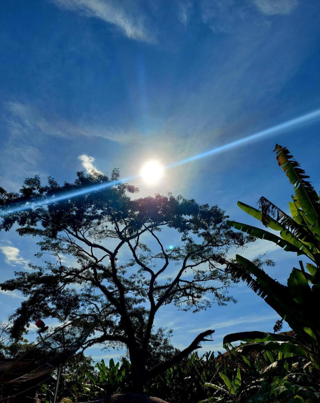 Pousada Sitio Monte Sinai São José do Barreiro エクステリア 写真