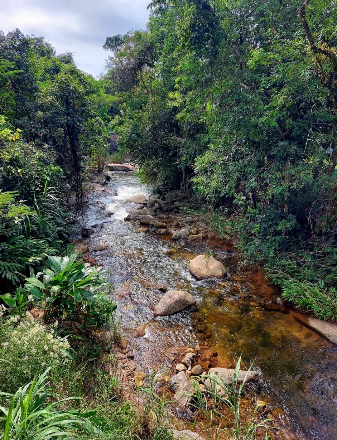 Pousada Sitio Monte Sinai São José do Barreiro エクステリア 写真