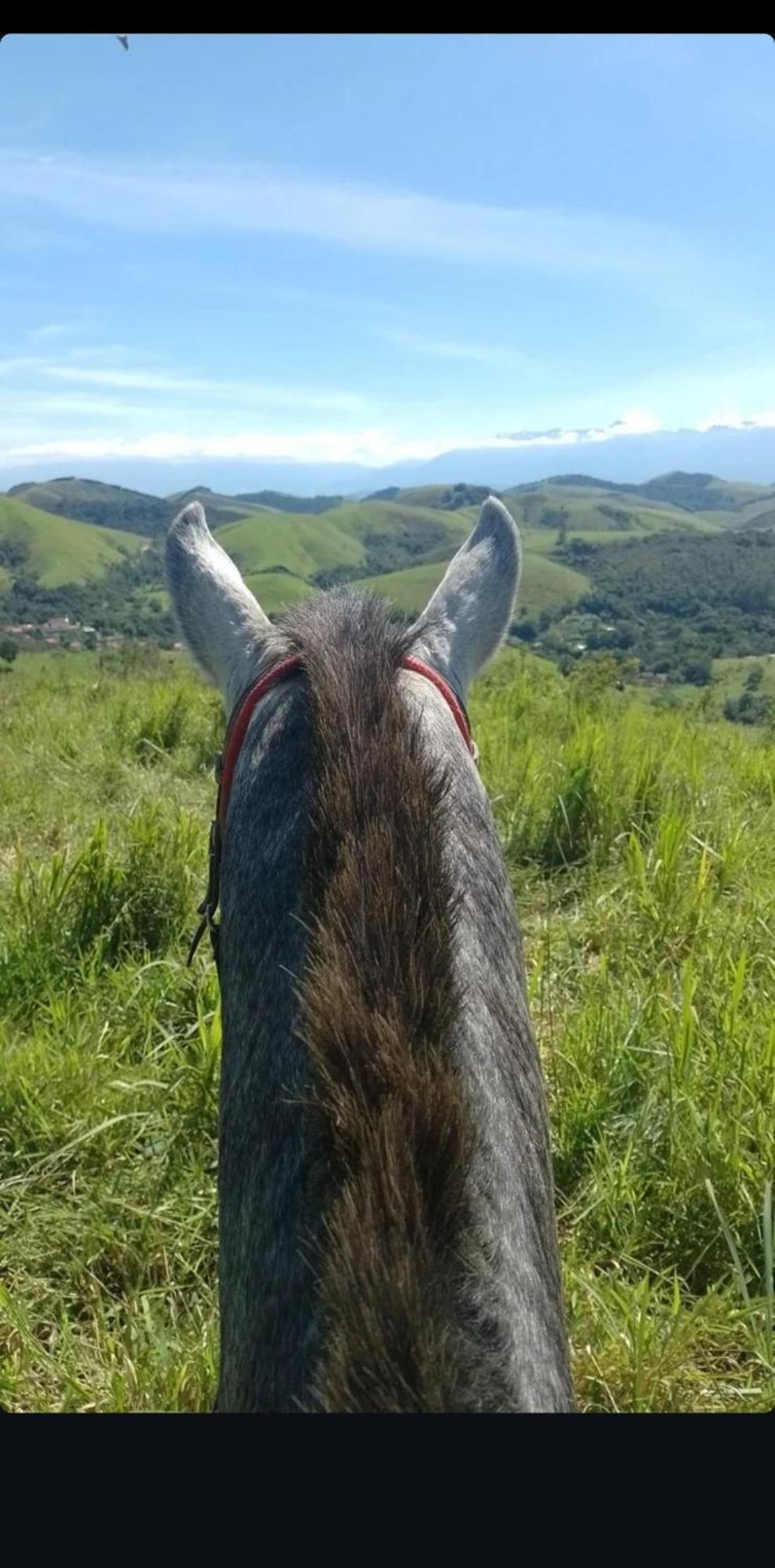 Pousada Sitio Monte Sinai São José do Barreiro エクステリア 写真