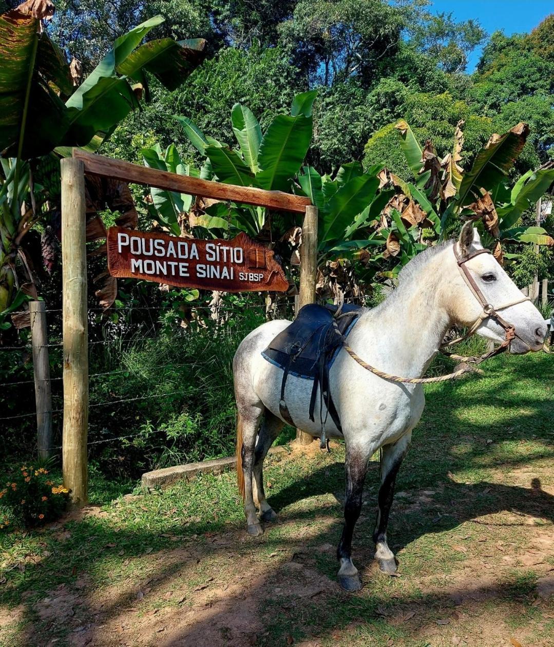 Pousada Sitio Monte Sinai São José do Barreiro エクステリア 写真