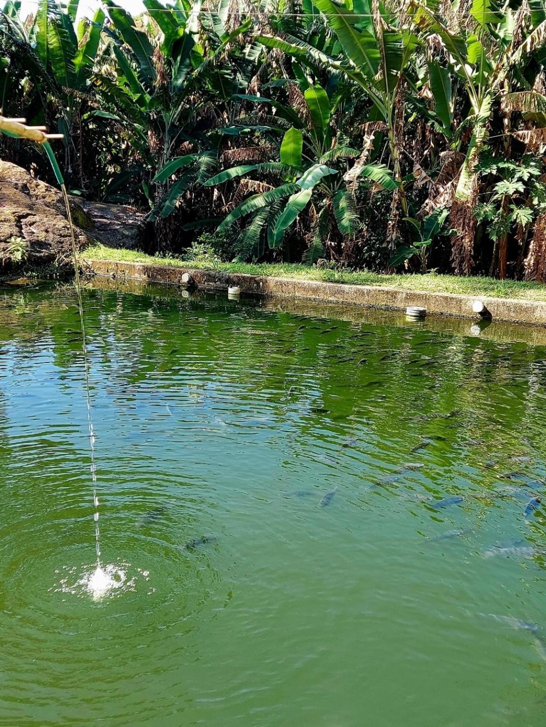 Pousada Sitio Monte Sinai São José do Barreiro エクステリア 写真