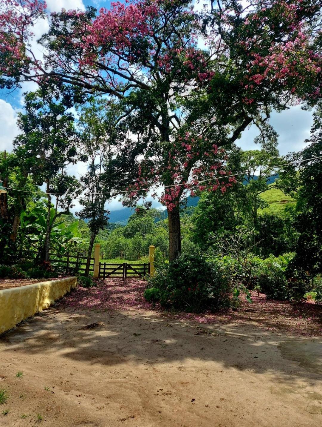Pousada Sitio Monte Sinai São José do Barreiro エクステリア 写真